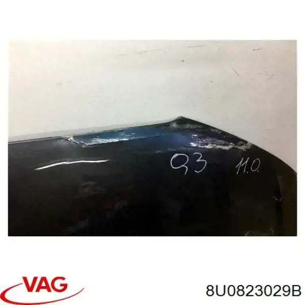  Capó Audi Q3 