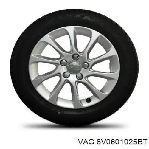 Rines VAG 8V0601025BT precio, desde 406,56 EUR