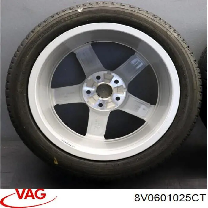 Rines VAG 8V0601025CT precio, desde 187,31 EUR