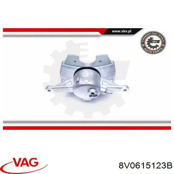 8V0615123B VAG