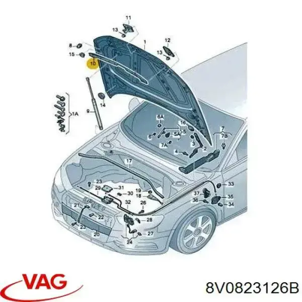 8V0823126B VAG