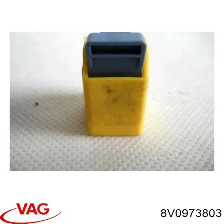  8V0973803 VAG