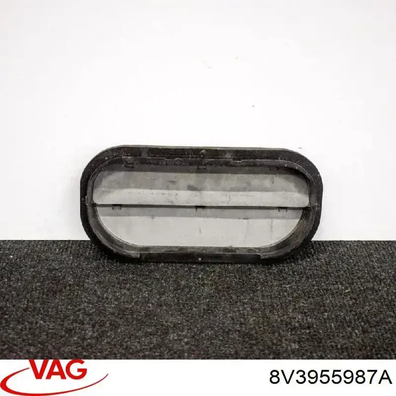 Boquilla del lavaparabrisas izquierda VAG 8V3955987A