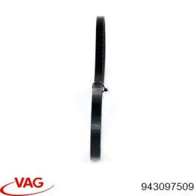 Correa accesorios Mitsubishi Canter VII