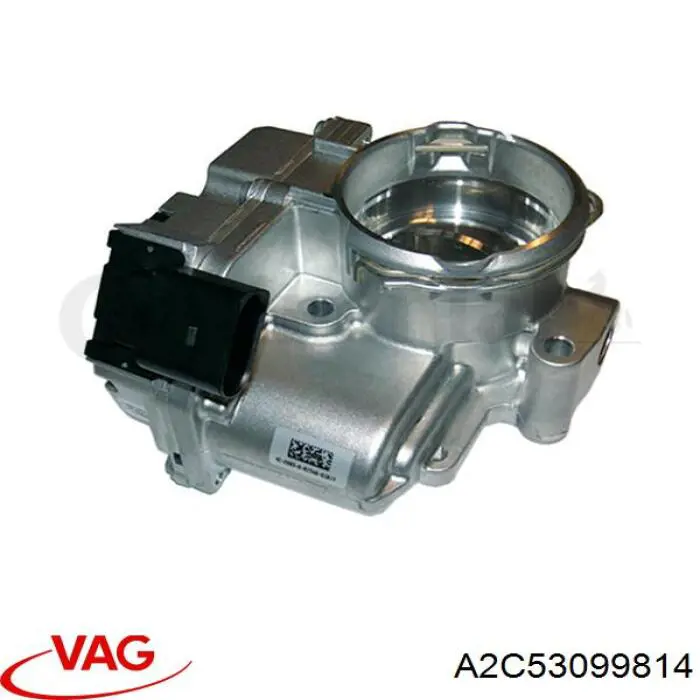 Cuerpo de aceleración completo VAG A2C53099814 precio, desde 130,68 EUR