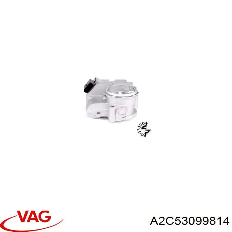 Cuerpo de mariposa A2C53099814 VAG