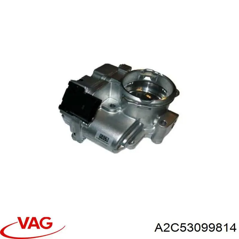 Cuerpo de aceleración completo VAG A2C53099814 precio, desde 130,68 EUR
