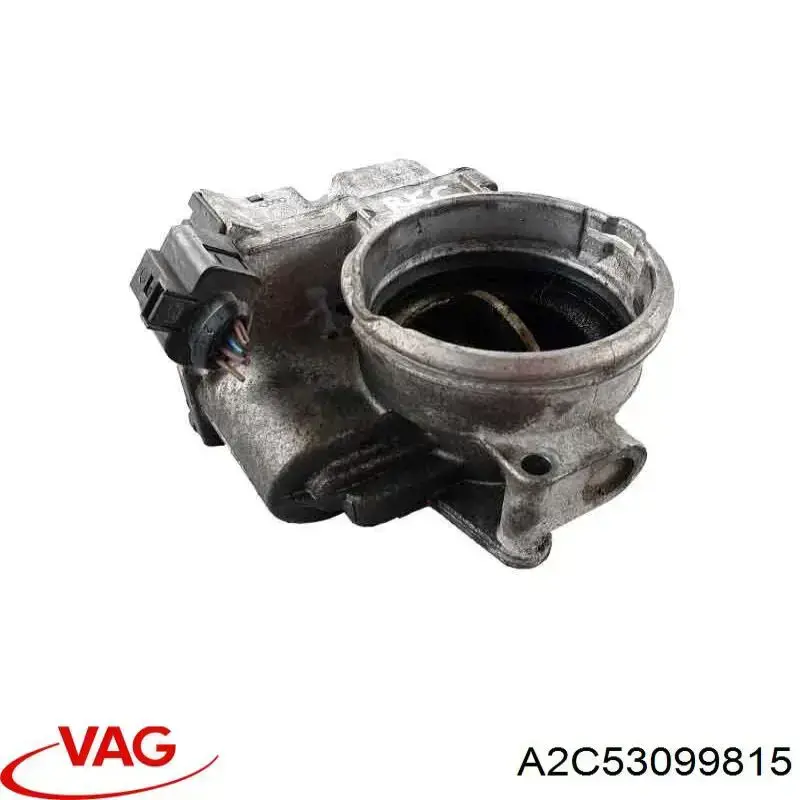 A2C53099815 VAG Mariposa de admisión