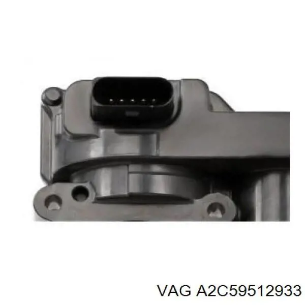 Cuerpo de mariposa A2C59512933 VAG