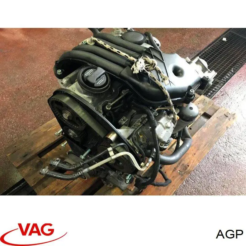 Motor completo AGP VAG