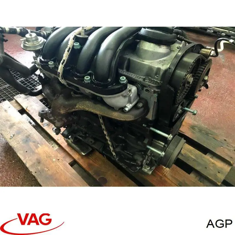 AGP VAG motor completo