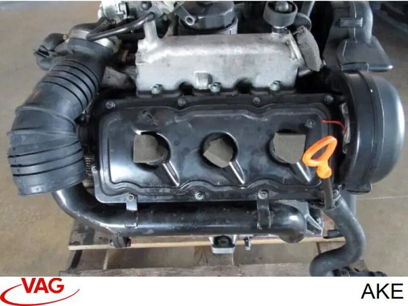 Motor completo VAG AKE precio, desde 924,92 EUR