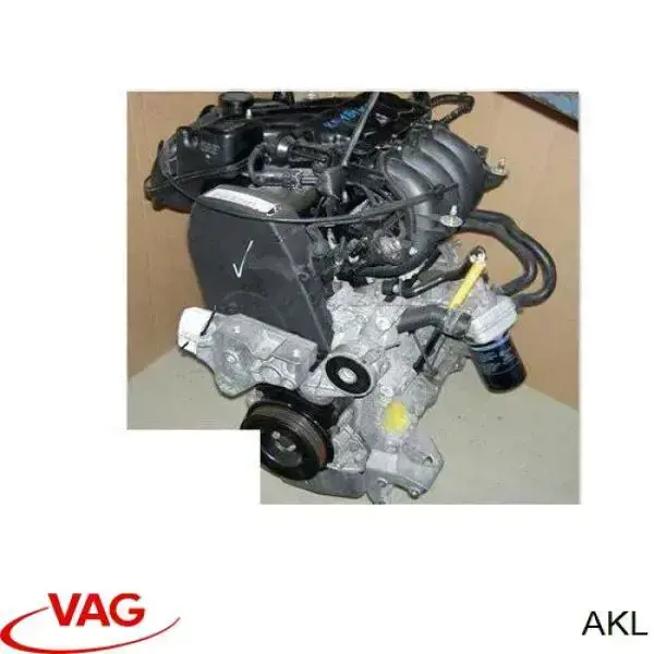 Motor completo VAG AKL