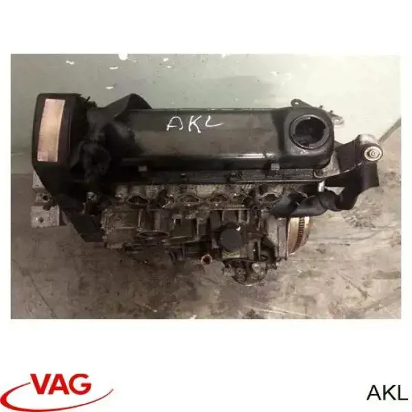 Motor completo VAG AKL precio, desde 784,08 EUR