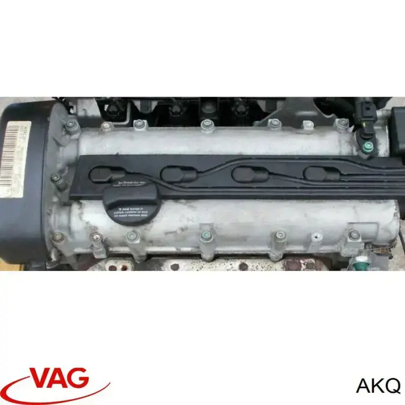 AKQ VAG Motor completo