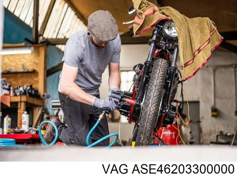 ASE46203300000 VAG