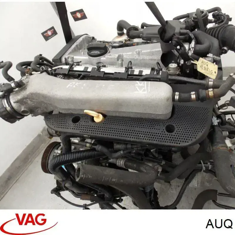 AUQ VAG Motor completo