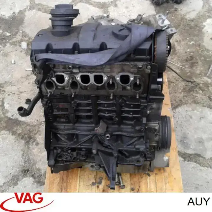Comprar AUY VAG Motor completo