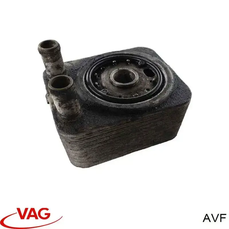 AVF VAG motor completo