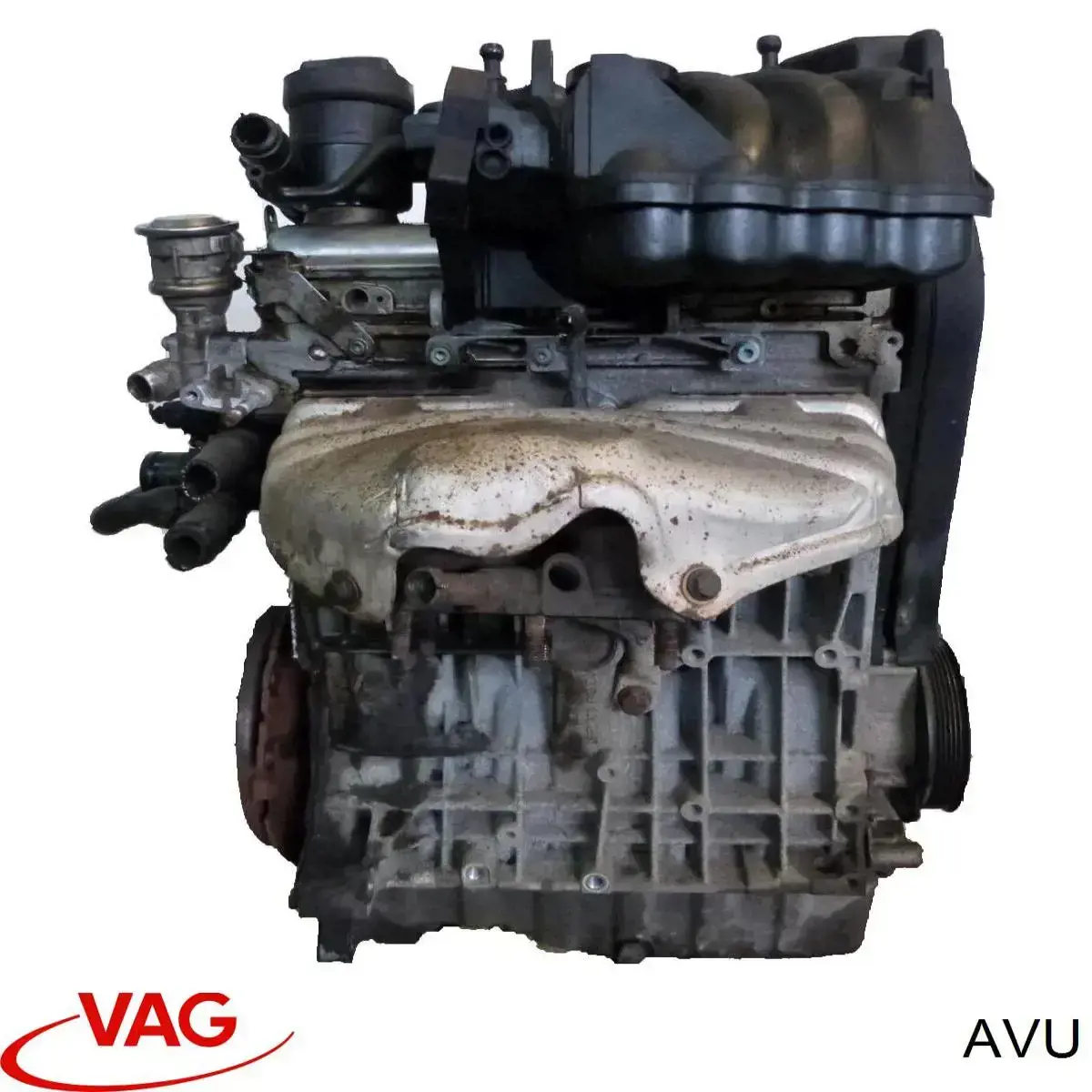 AVU VAG Motor completo