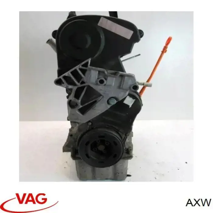 Motor completo AXW VAG