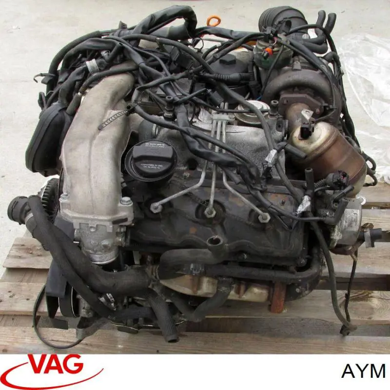 Motor completo VAG AYM precio, desde 534,35 EUR