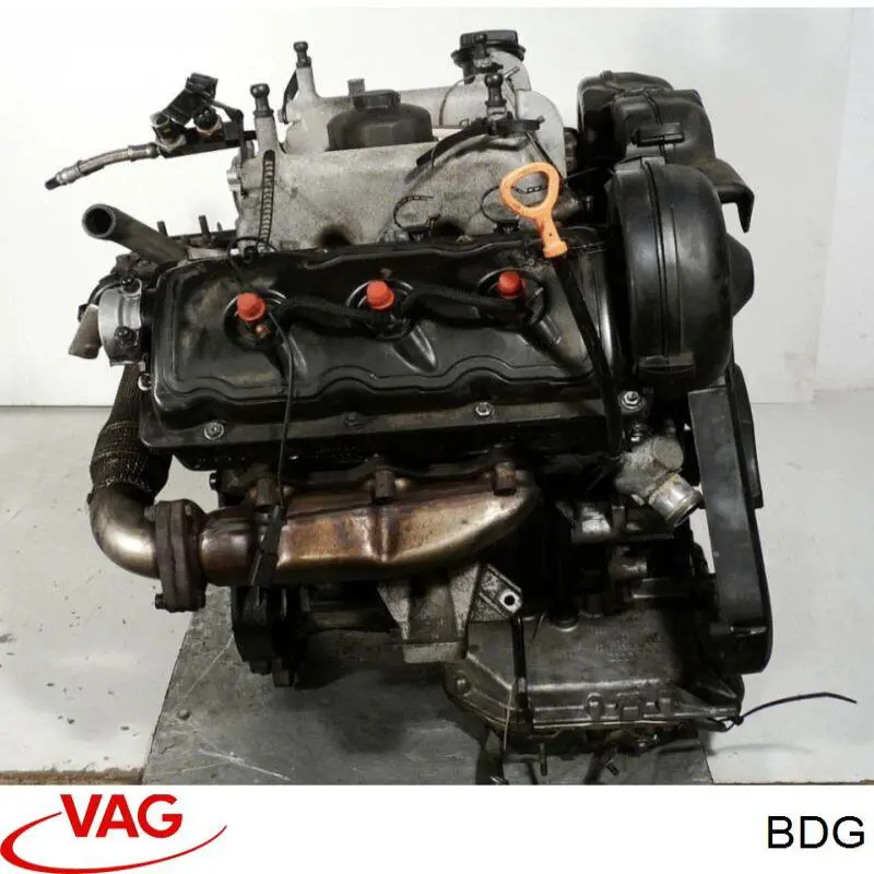BDG VAG Motor completo