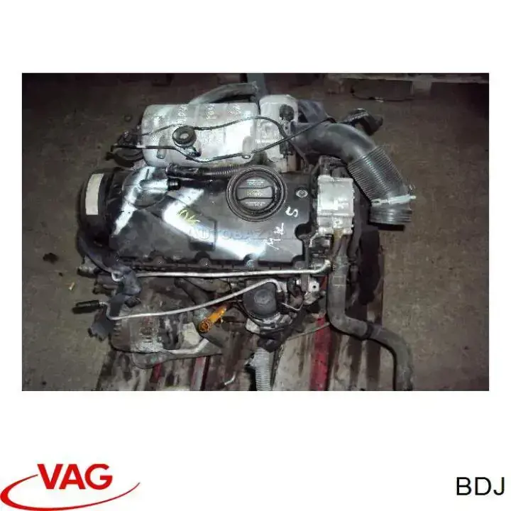 BDJ VAG Motor completo