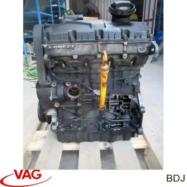Motor completo VAG BDJ precio, desde 1553,64 EUR