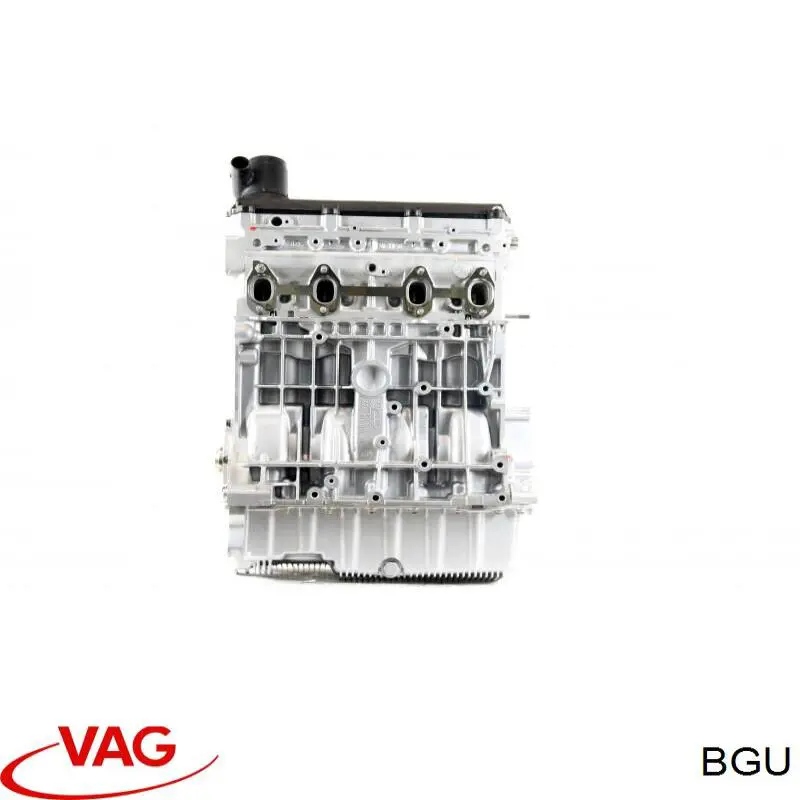 Motor completo VAG BGU precio, desde 791,34 EUR