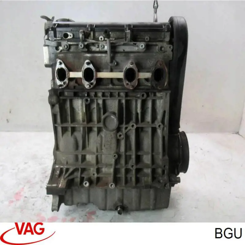 Motor completo BGU VAG