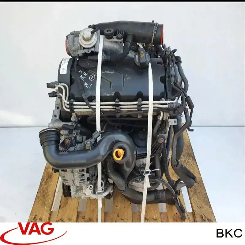 Comprar BKC VAG Motor completo