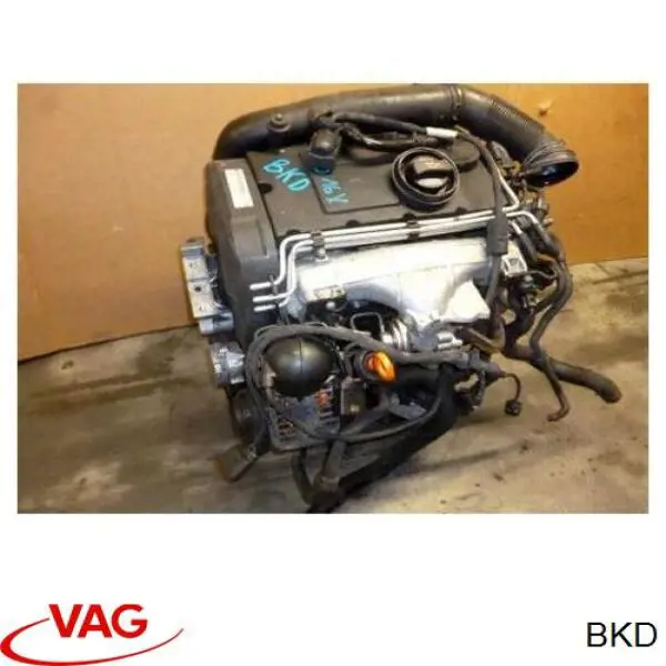 BKD Mitsubishi Motor completo