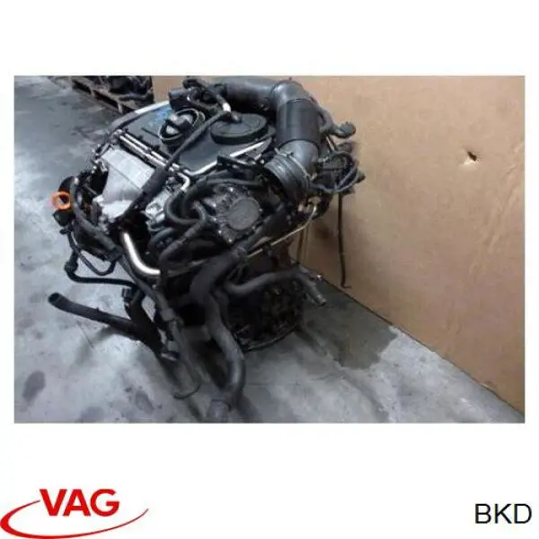  Motor completo Skoda Octavia 