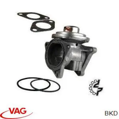 Motor completo VAG BKD