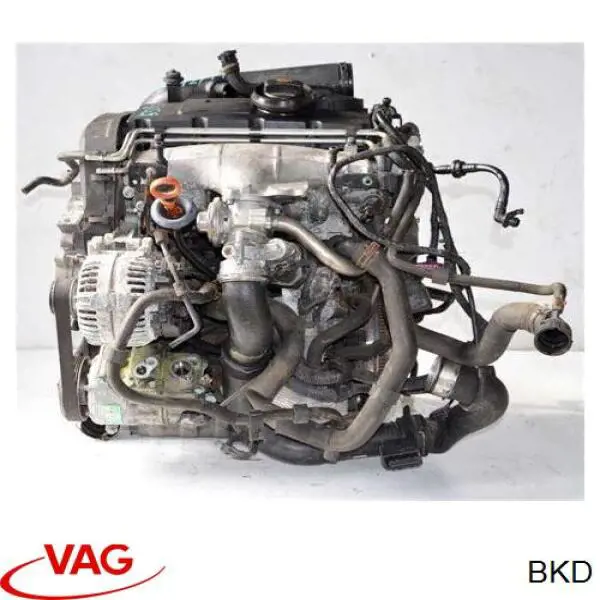 Motor completo Skoda Octavia II A5 familiar (1Z5) (2004 - 2013) precio, desde 519,88 USD