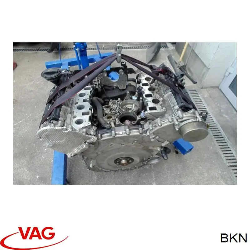 Motor completo VAG BKN precio, desde 555,39 EUR