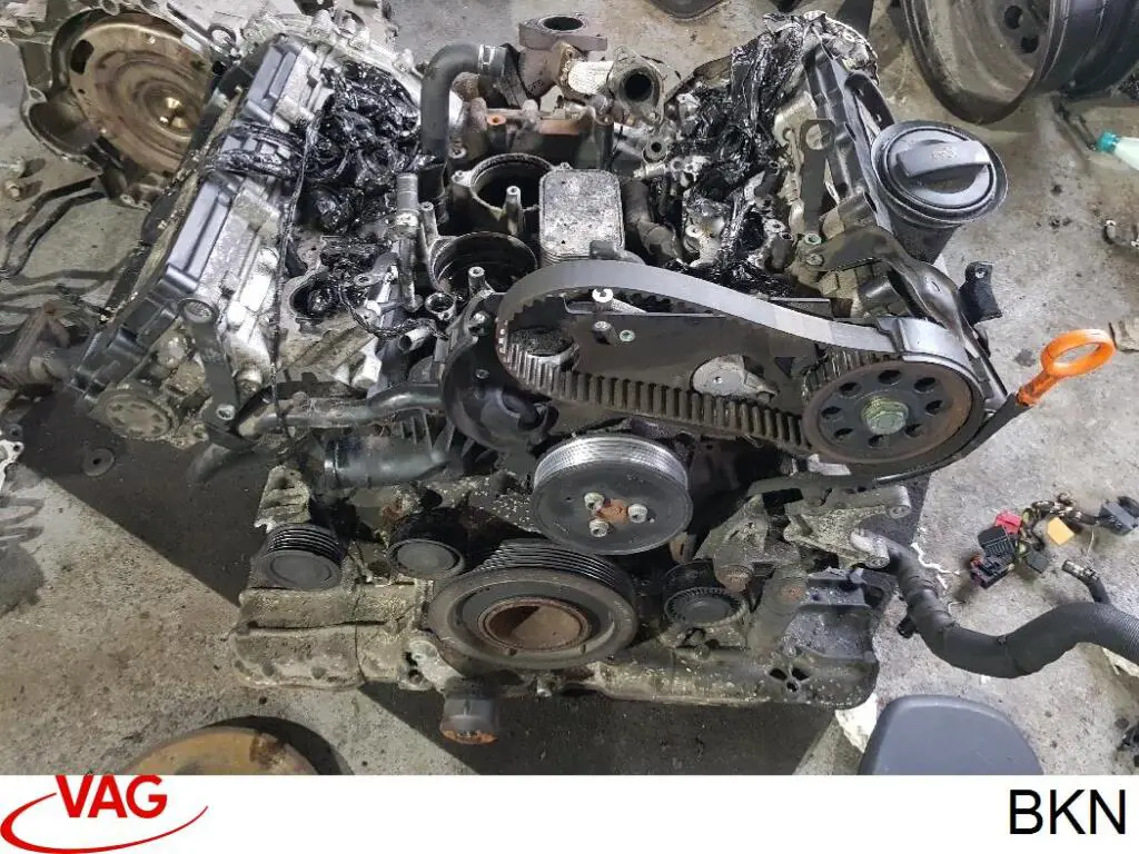 BKN VAG Motor completo