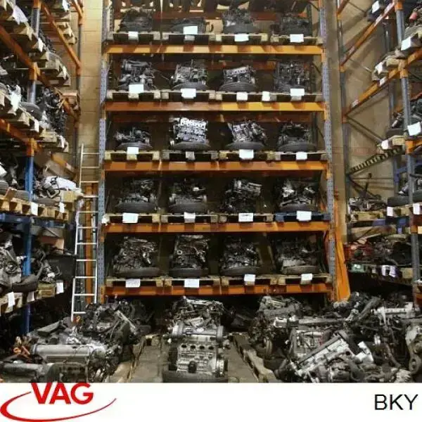 BKY VAG Motor completo