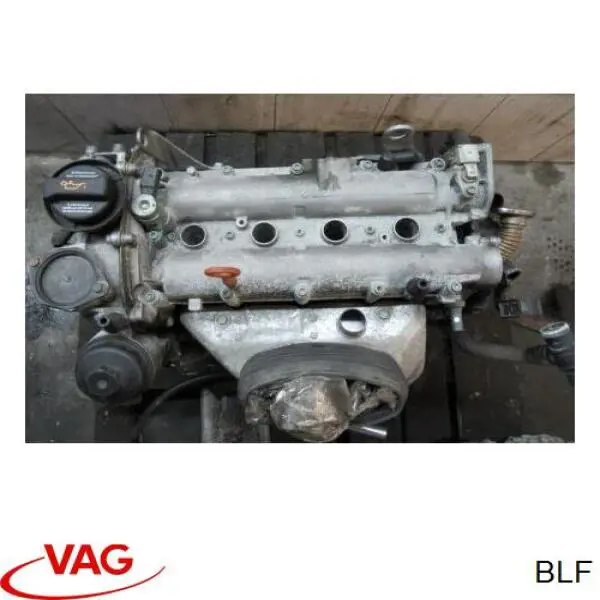 Comprar BLF VAG Motor completo