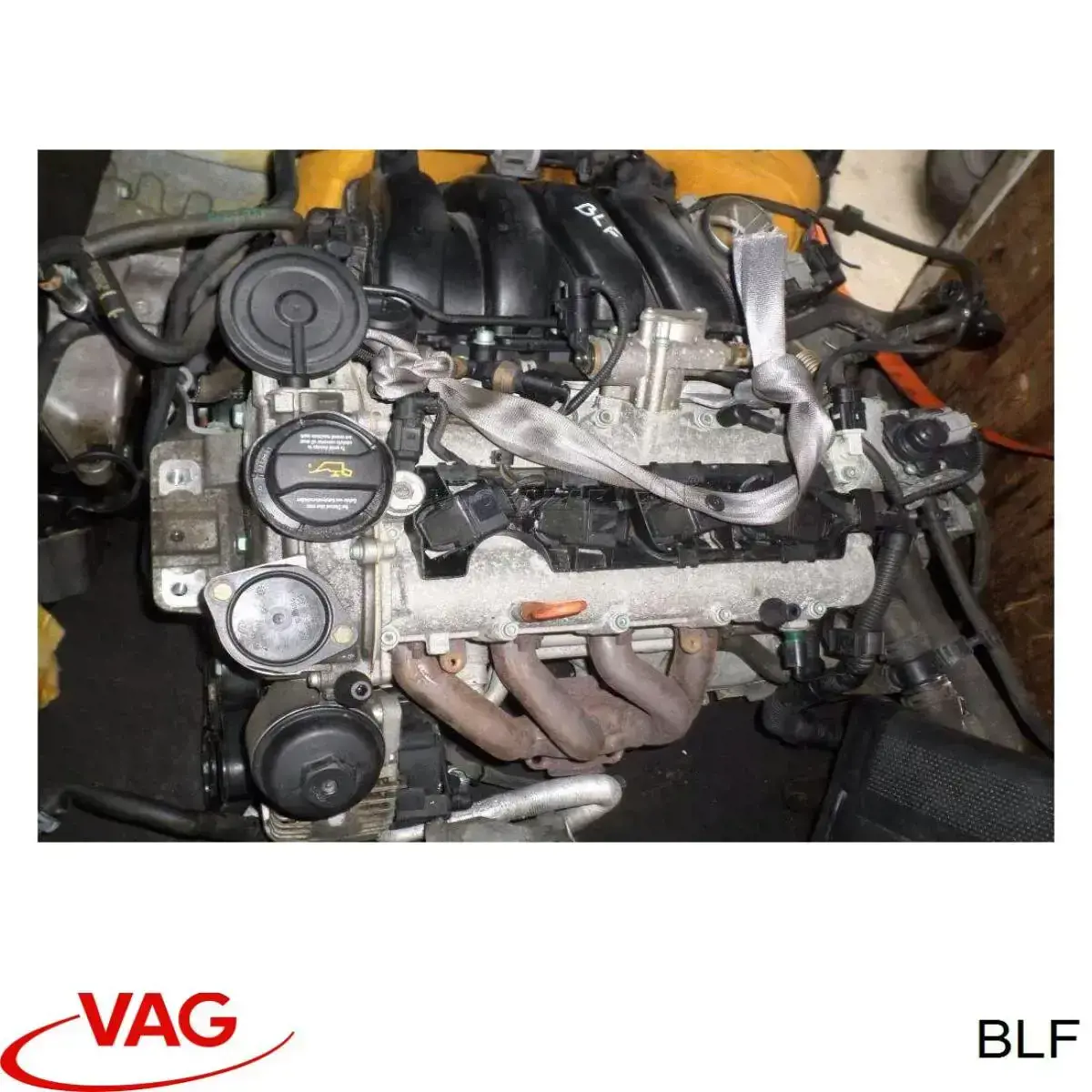 BLF VAG motor completo