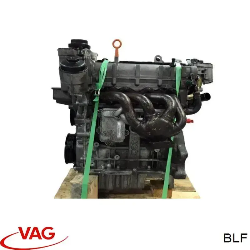 Motor completo VAG BLF precio, desde 997,52 EUR