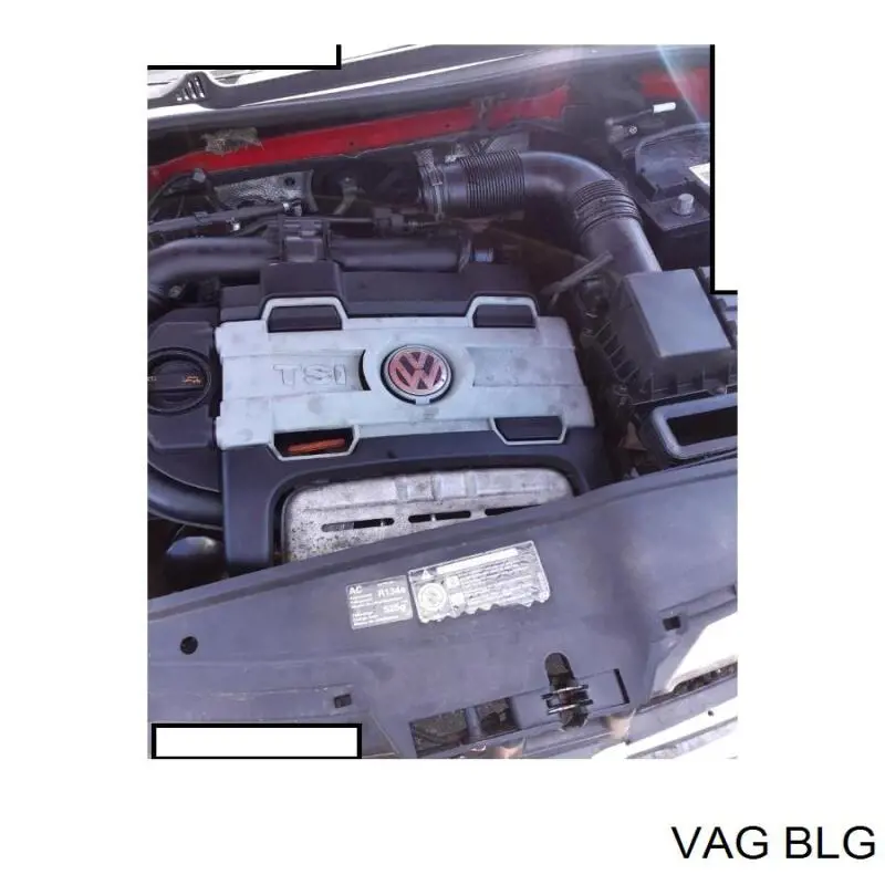 BLG VAG motor completo