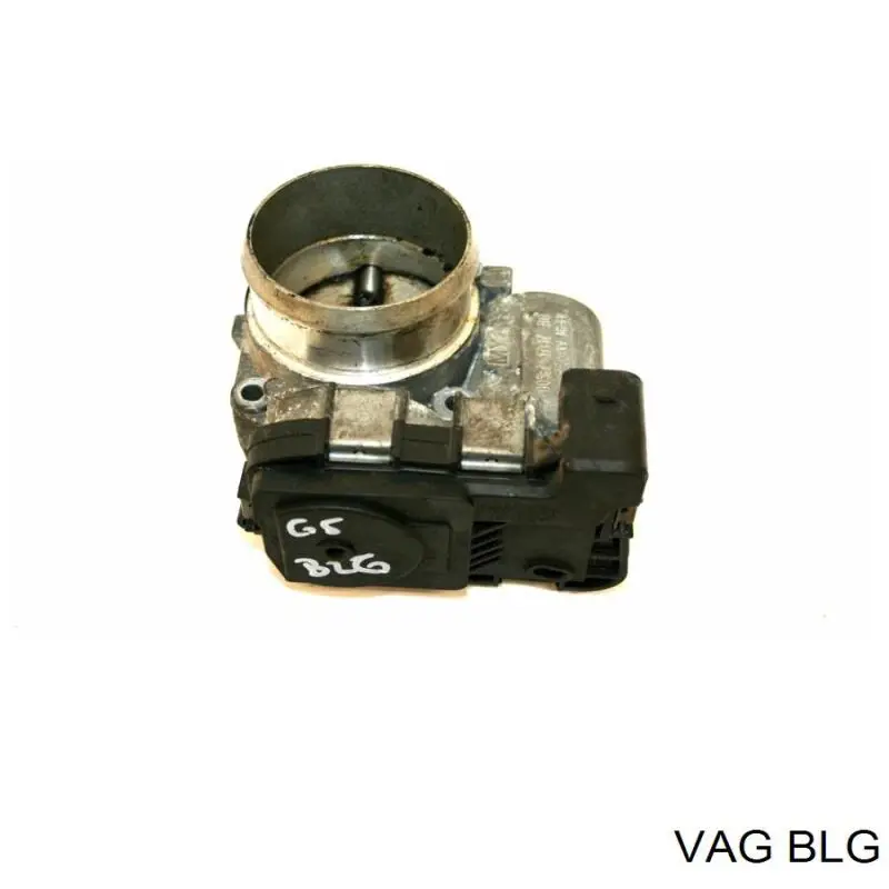 BLG VAG Motor completo