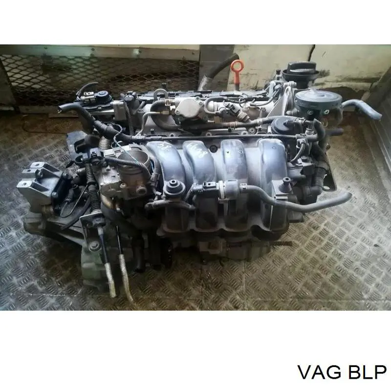 Comprar BLP VAG Motor completo