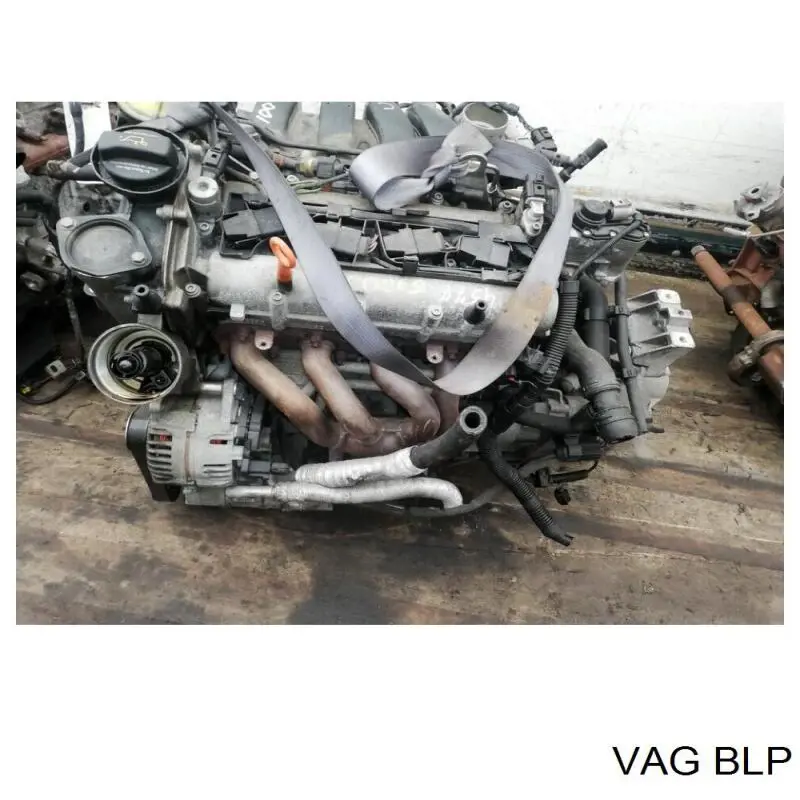 BLP VAG Motor completo