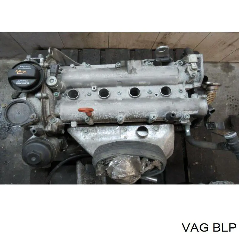 Motor completo VAG BLP precio, desde 764,97 EUR