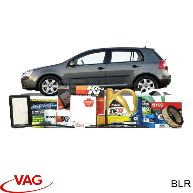 Comprar BLR VAG Motor completo