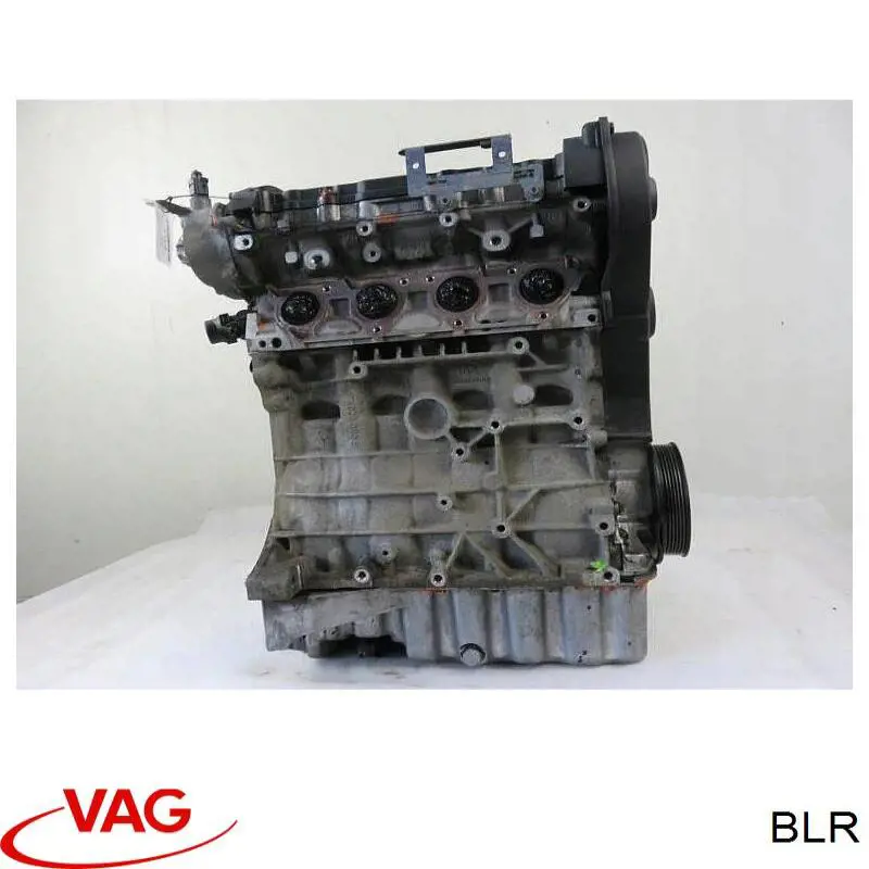 BLR VAG Motor completo
