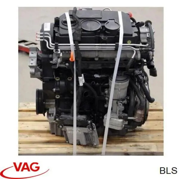 BLS VAG motor completo